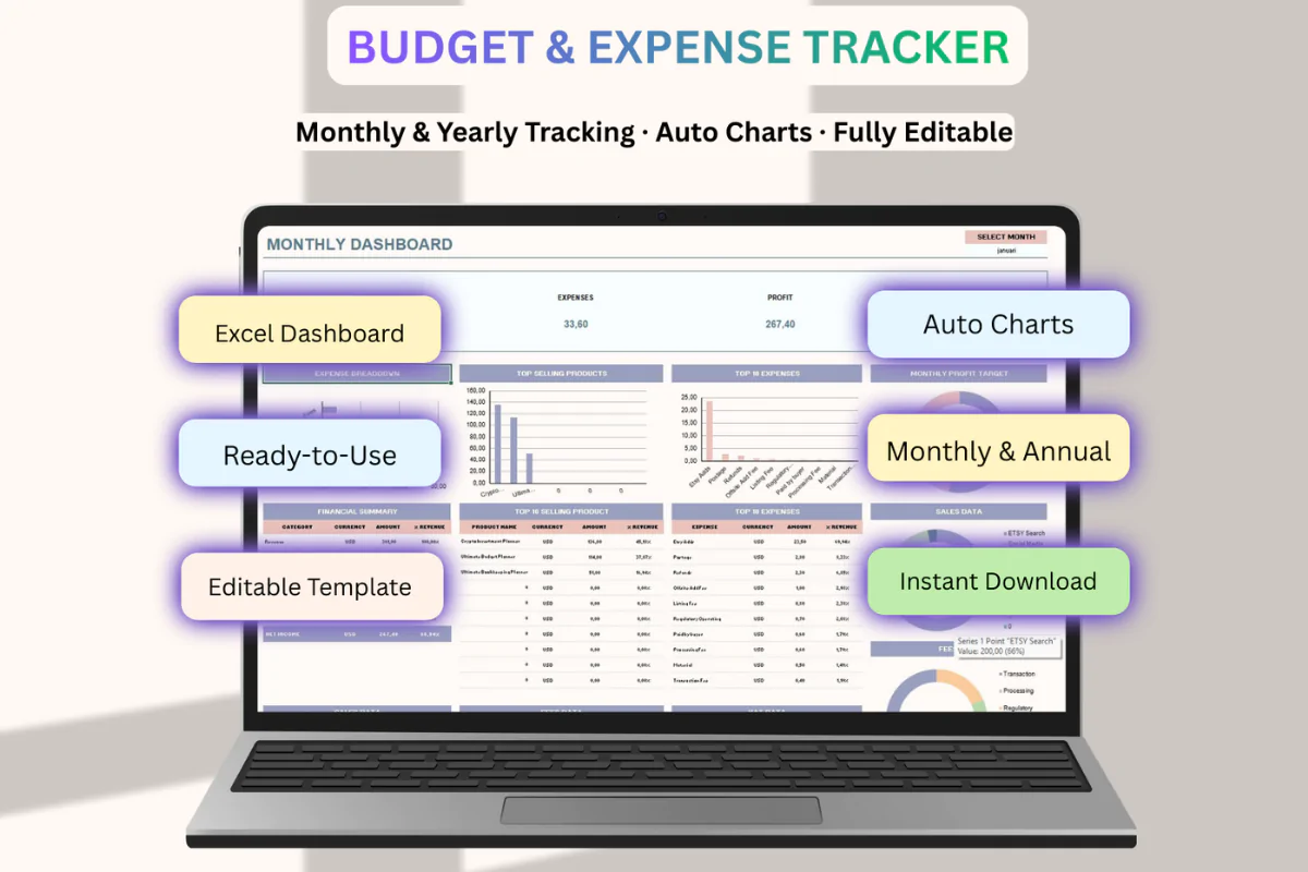 Simple Budget Spreadsheet Beginner Finance Template Income and Expense Manager Excel Google Sheets